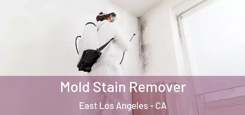 Mold Stain Remover East Los Angeles - CA