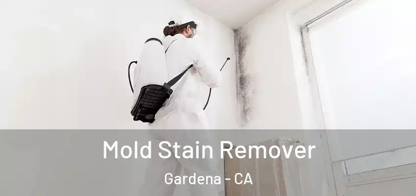 Mold Stain Remover Gardena - CA