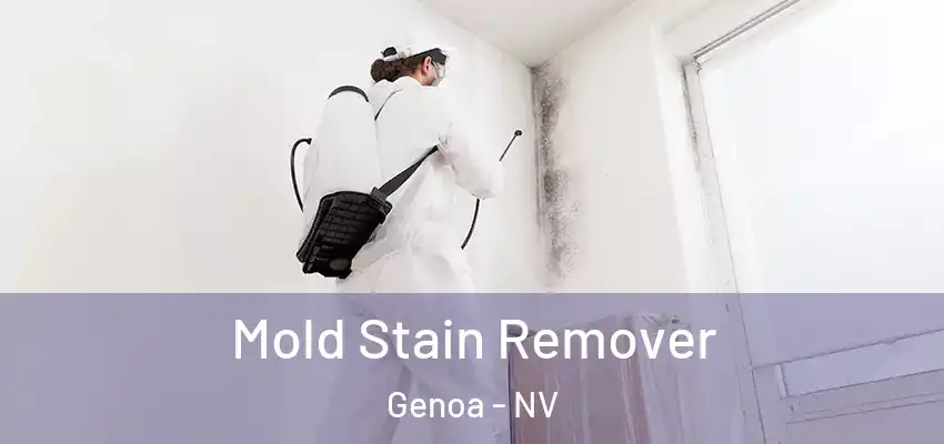  Mold Stain Remover Genoa - NV