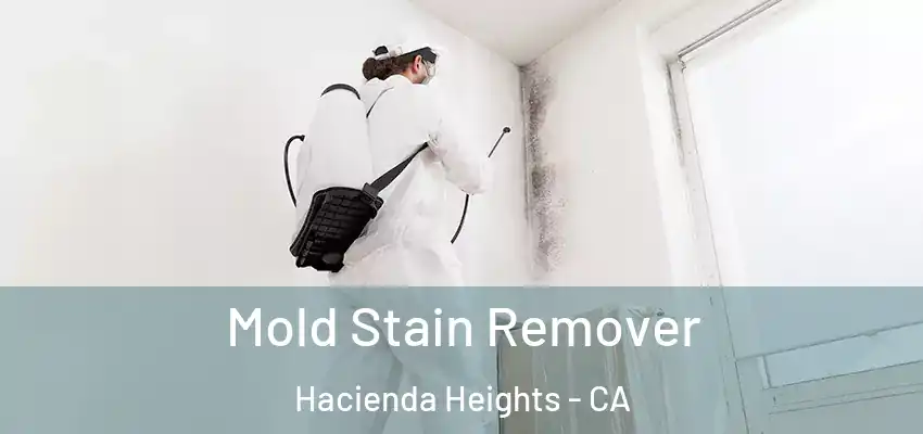  Mold Stain Remover Hacienda Heights - CA