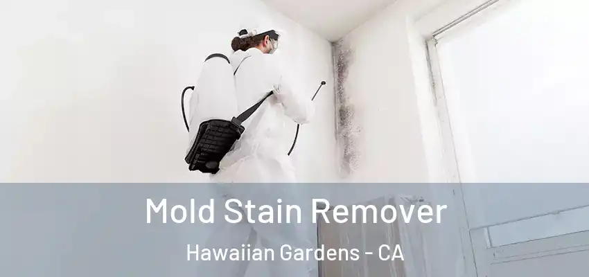  Mold Stain Remover Hawaiian Gardens - CA