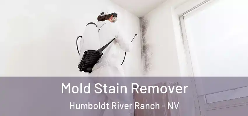  Mold Stain Remover Humboldt River Ranch - NV