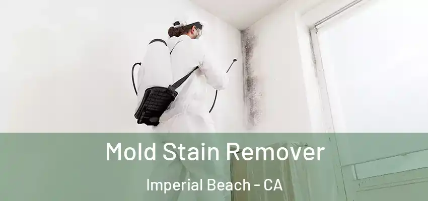  Mold Stain Remover Imperial Beach - CA