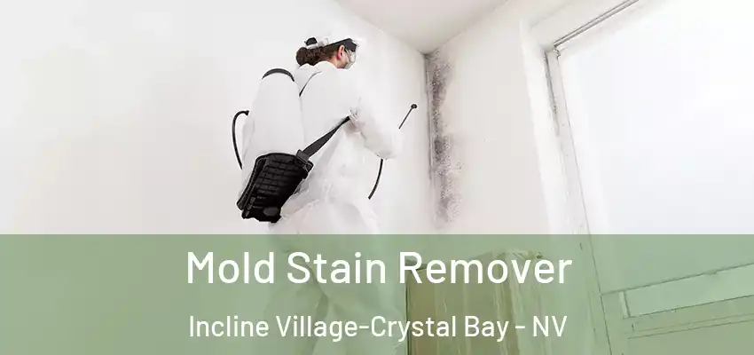Mold Stain Remover Incline Village-Crystal Bay - NV