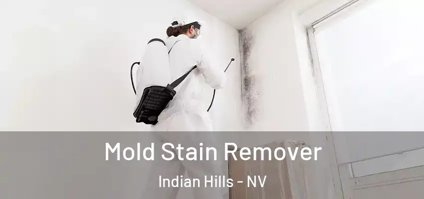 Mold Stain Remover Indian Hills - NV