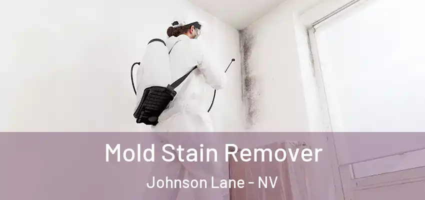  Mold Stain Remover Johnson Lane - NV