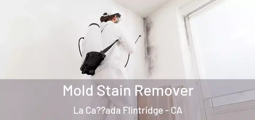  Mold Stain Remover La Ca??ada Flintridge - CA