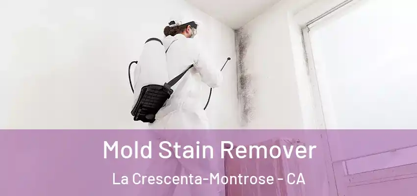  Mold Stain Remover La Crescenta-Montrose - CA