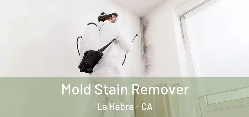  Mold Stain Remover La Habra - CA