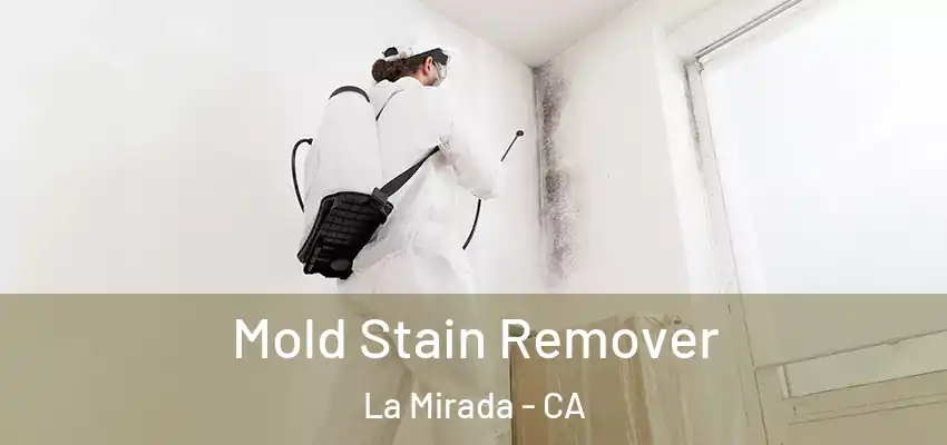  Mold Stain Remover La Mirada - CA