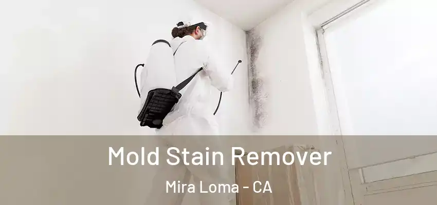 Mold Stain Remover Mira Loma - CA