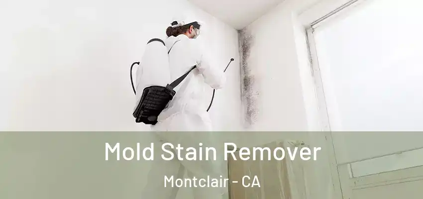  Mold Stain Remover Montclair - CA