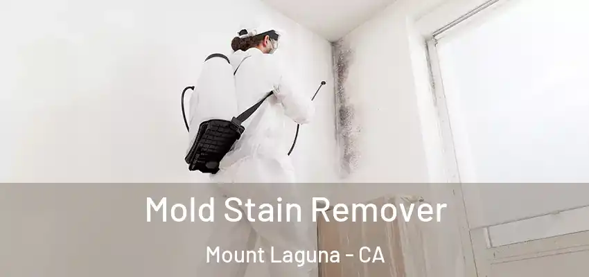  Mold Stain Remover Mount Laguna - CA
