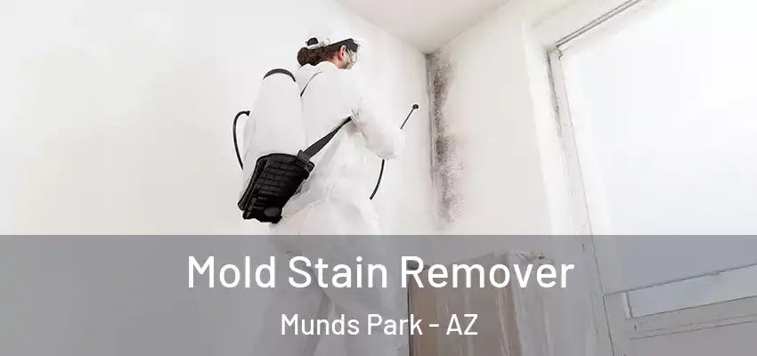  Mold Stain Remover Munds Park - AZ