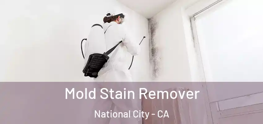 Mold Stain Remover National City - CA