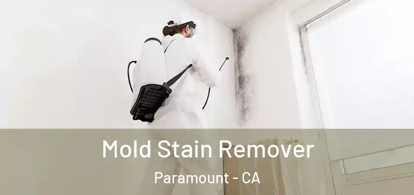 Mold Stain Remover Paramount - CA