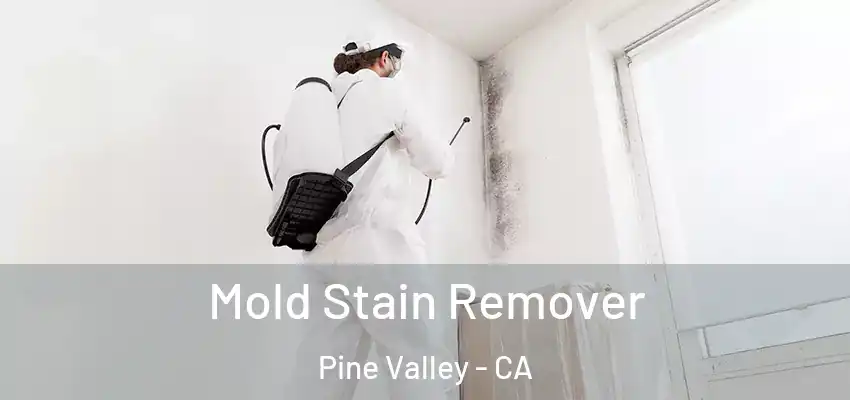  Mold Stain Remover Pine Valley - CA