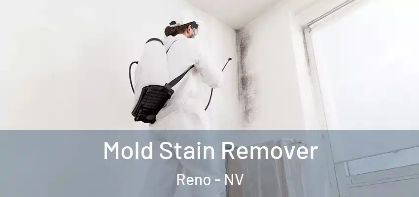  Mold Stain Remover Reno - NV