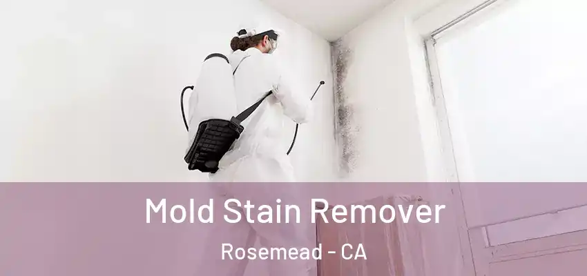  Mold Stain Remover Rosemead - CA