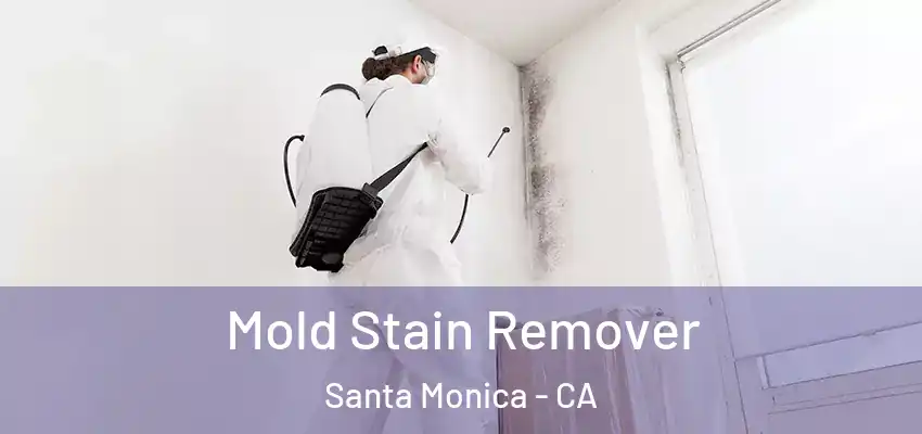  Mold Stain Remover Santa Monica - CA
