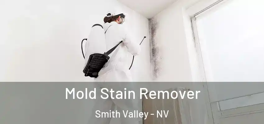  Mold Stain Remover Smith Valley - NV