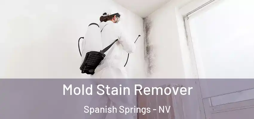 Mold Stain Remover Spanish Springs - NV