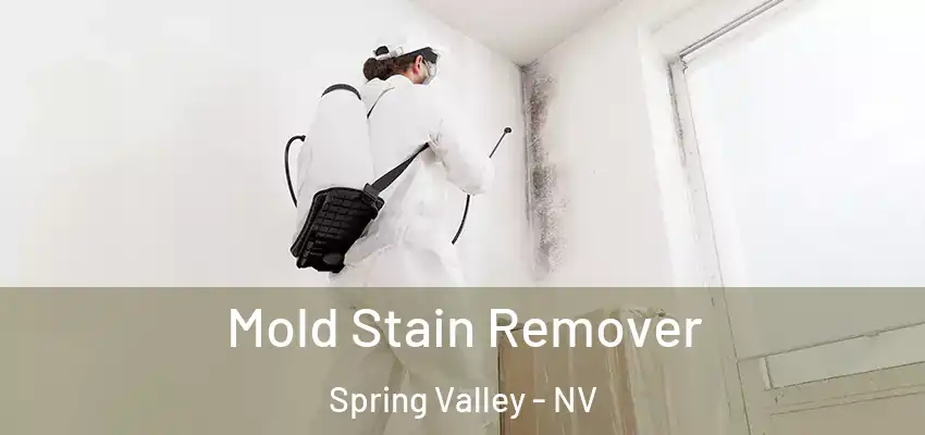 Mold Stain Remover Spring Valley - NV