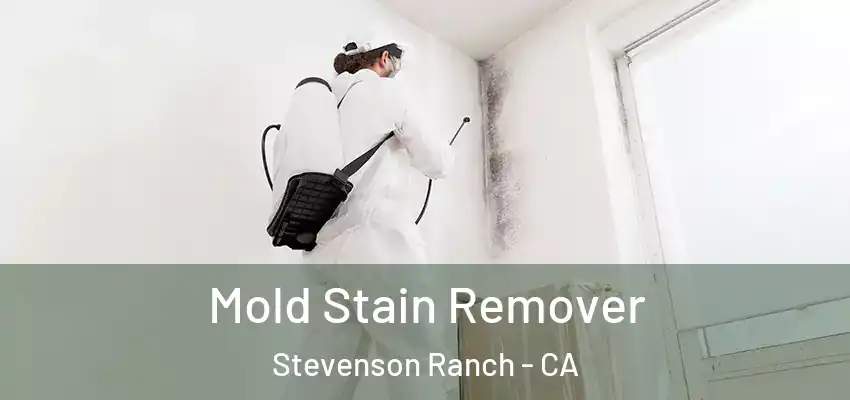 Mold Stain Remover Stevenson Ranch - CA
