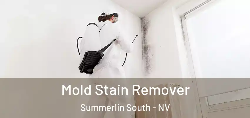 Mold Stain Remover Summerlin South - NV