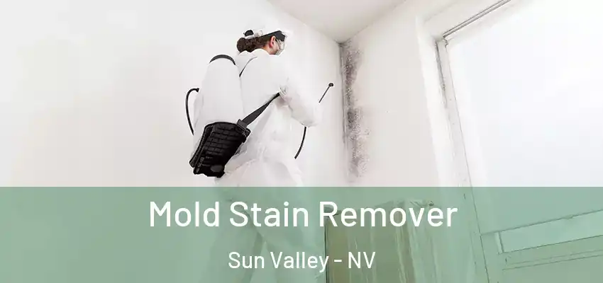  Mold Stain Remover Sun Valley - NV