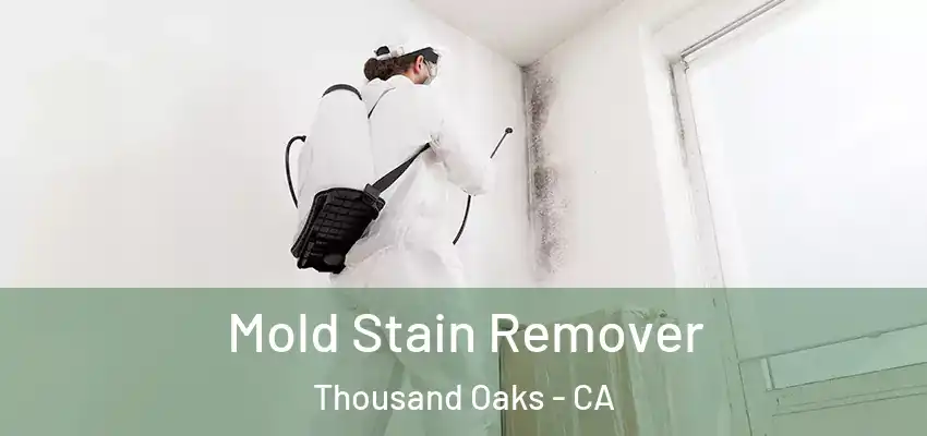  Mold Stain Remover Thousand Oaks - CA