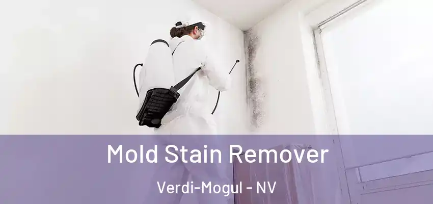 Mold Stain Remover Verdi-Mogul - NV