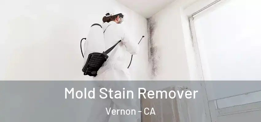 Mold Stain Remover Vernon - CA