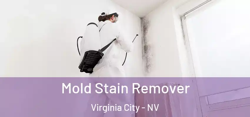  Mold Stain Remover Virginia City - NV