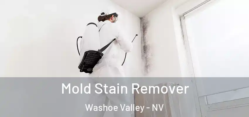 Mold Stain Remover Washoe Valley - NV