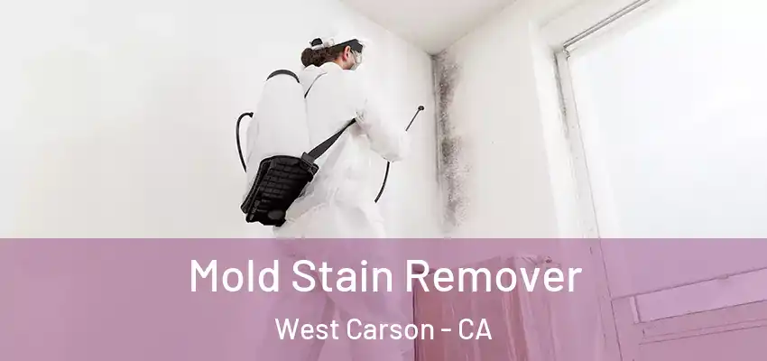  Mold Stain Remover West Carson - CA