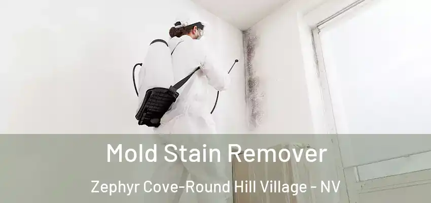 Mold Stain Remover Zephyr Cove-Round Hill Village - NV
