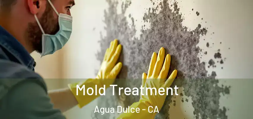  Mold Treatment Agua Dulce - CA