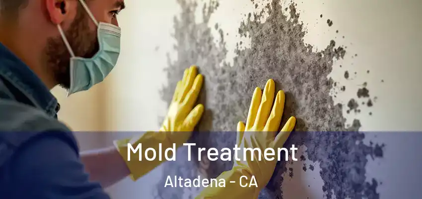  Mold Treatment Altadena - CA