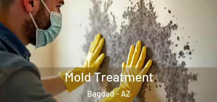  Mold Treatment Bagdad - AZ