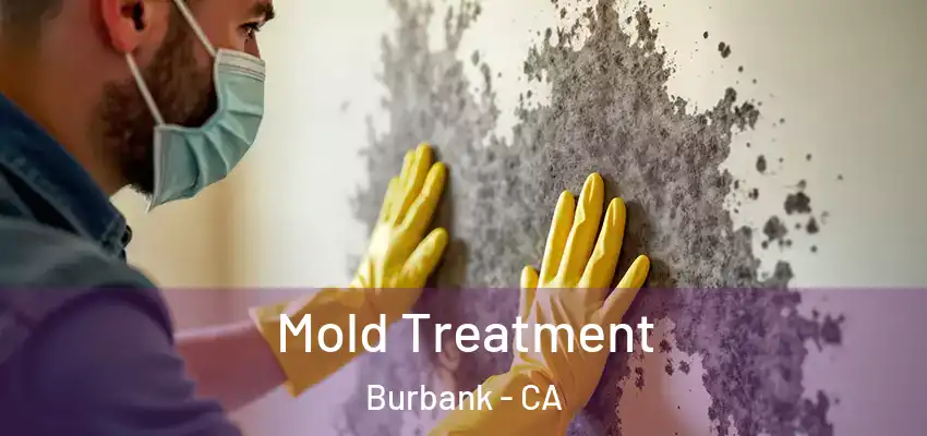 Mold Treatment Burbank - CA