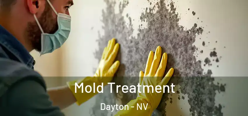  Mold Treatment Dayton - NV