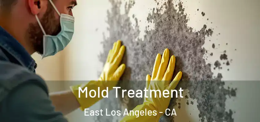 Mold Treatment East Los Angeles - CA