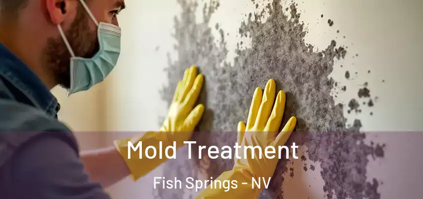 Mold Treatment Fish Springs - NV