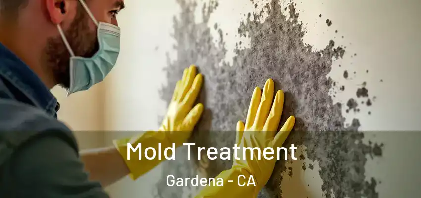 Mold Treatment Gardena - CA