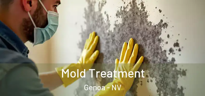  Mold Treatment Genoa - NV