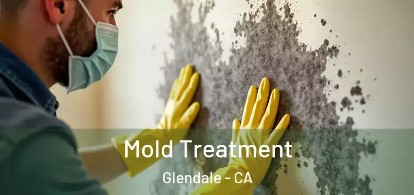  Mold Treatment Glendale - CA