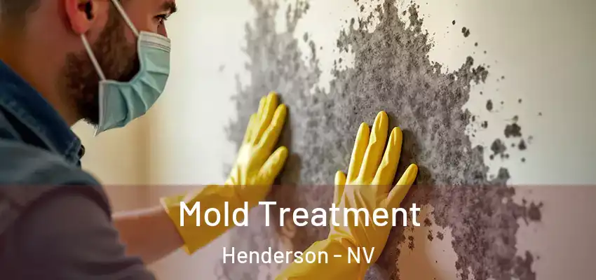  Mold Treatment Henderson - NV