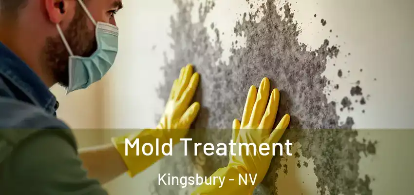 Mold Treatment Kingsbury - NV