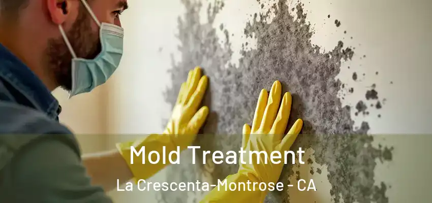 Mold Treatment La Crescenta-Montrose - CA